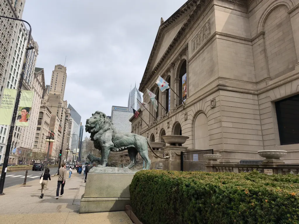ChicagoRepresentative01.webp